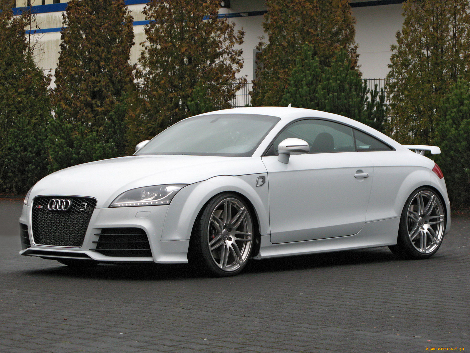 , audi